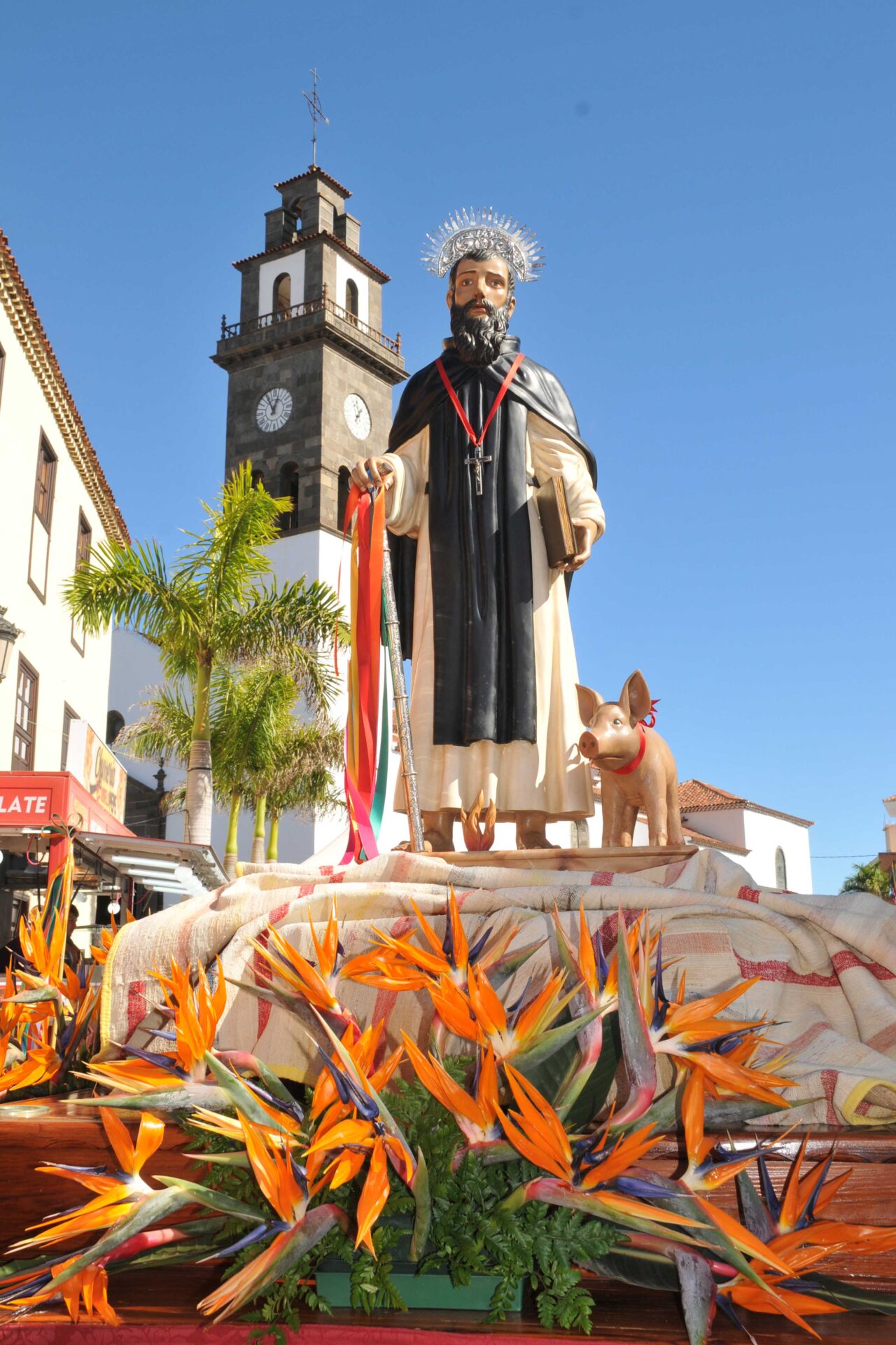 San Antonio Abad en Buenavista del Norte: una tradición que une fe y mundo rural